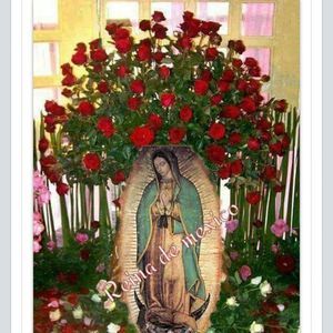 Meet your Posher, Bertha